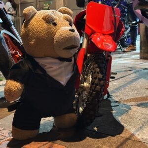 Ted con traje