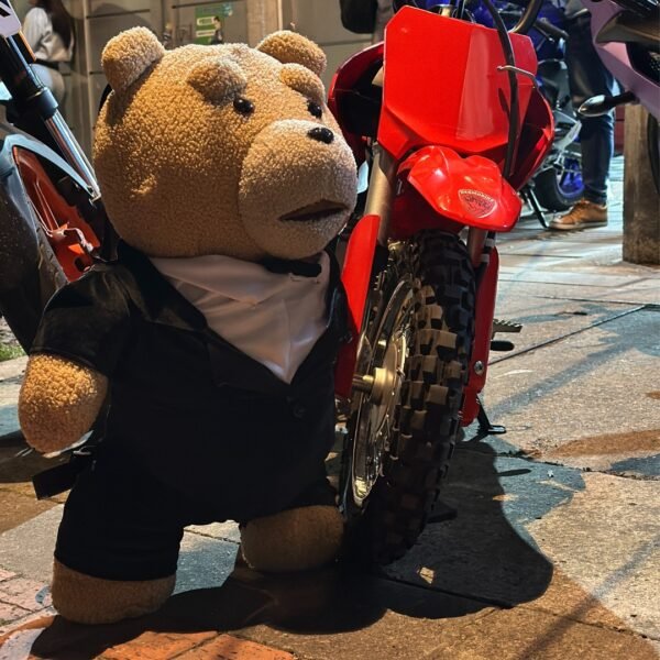 Ted con traje