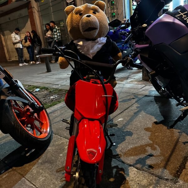 Ted con traje - Image 2